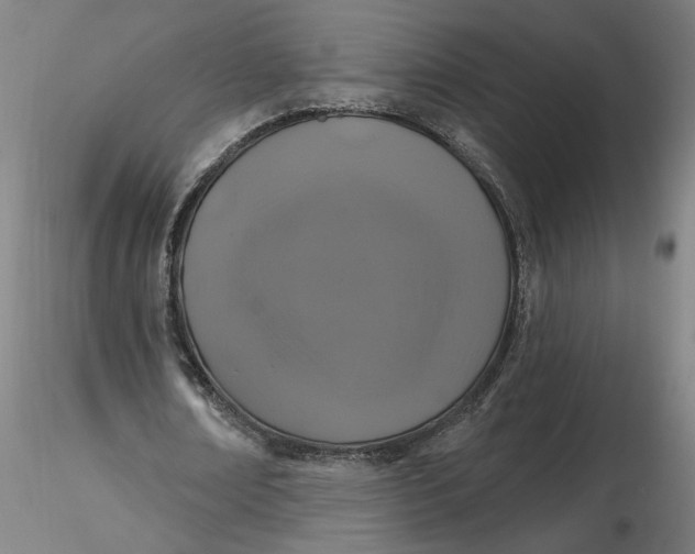 X0000116490674200912231152