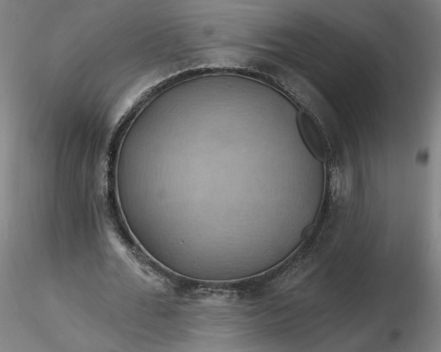 X0000116490676200912231152