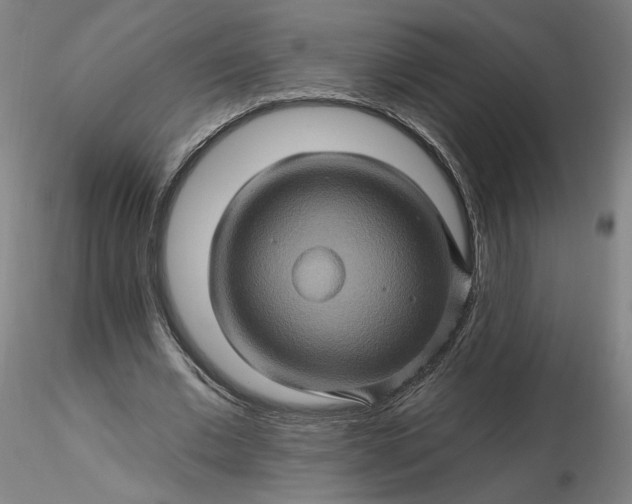 X0000116490677200912231152