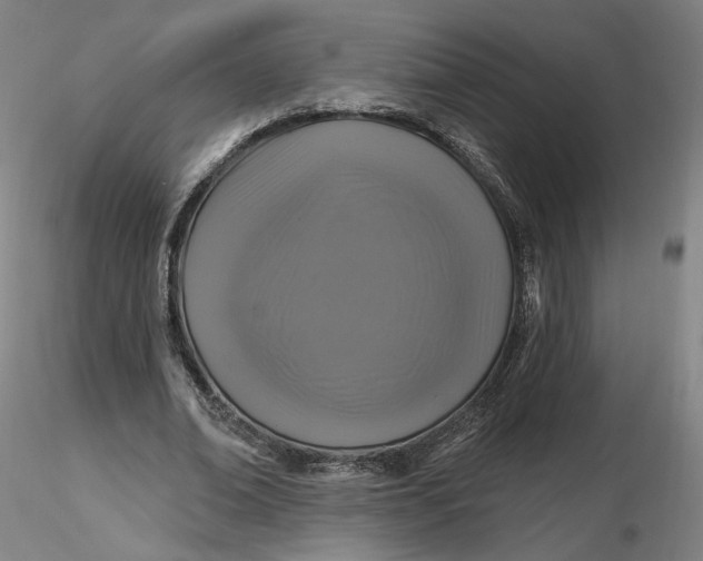 X0000116490678200912231152