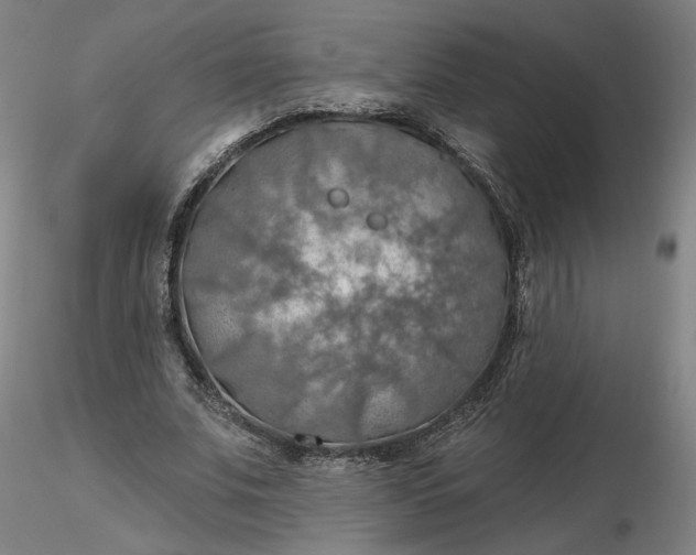 X0000116490679200912231152