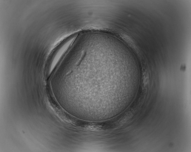 X0000116490680200912231152