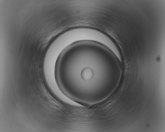 X0000116490681200912231152