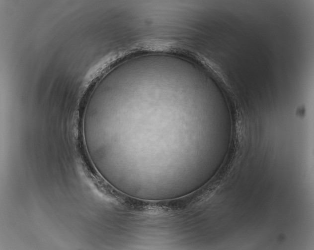 X0000116490682200912231152