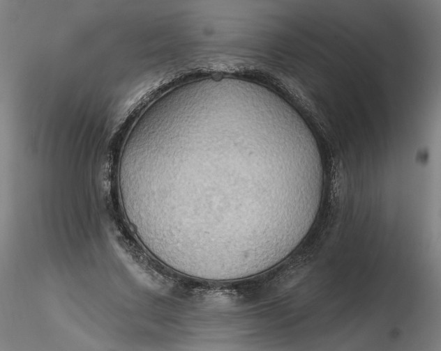 X0000116490683200912231152