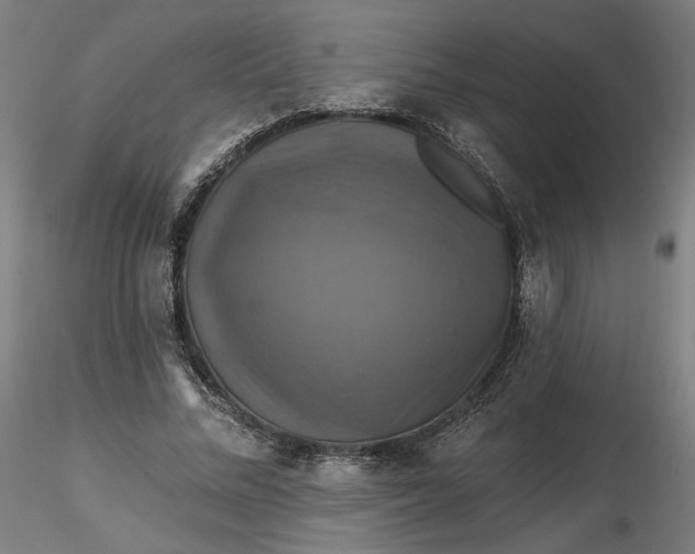 X0000116490684200912231152