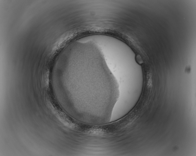 X0000116490685200912231152