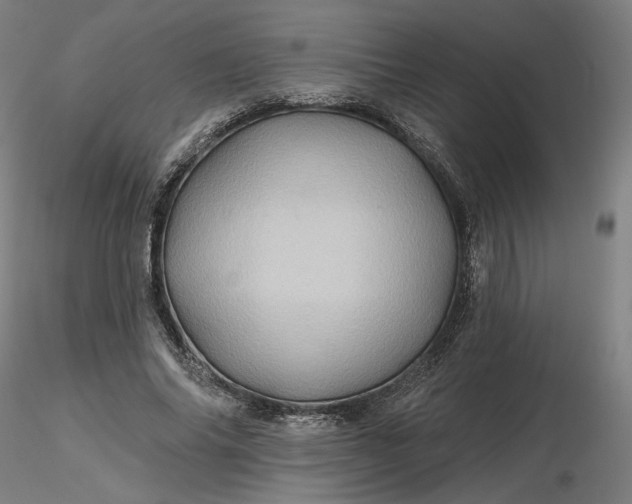 X0000116490686200912231152