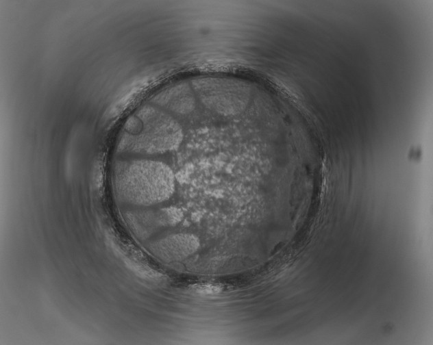 X0000116490687200912231152