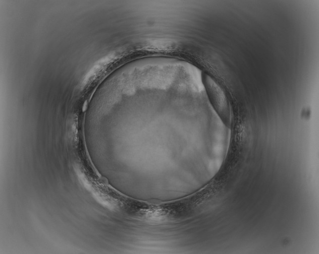 X0000116490688200912231152