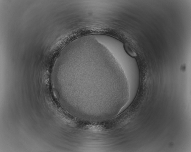 X0000116490689200912231152