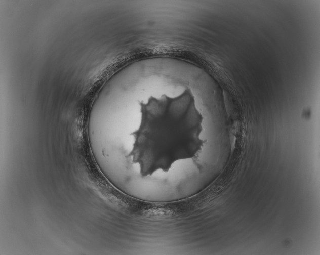 X0000116490691200912231152