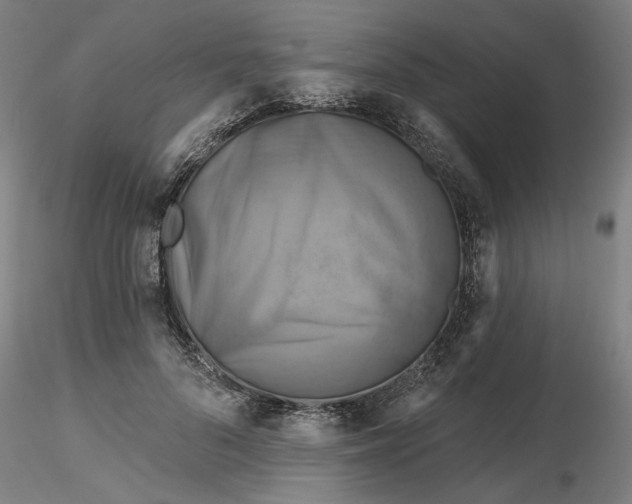 X0000116490696200912231152