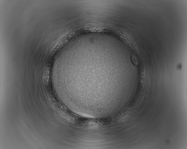 X0000116490697200912231152