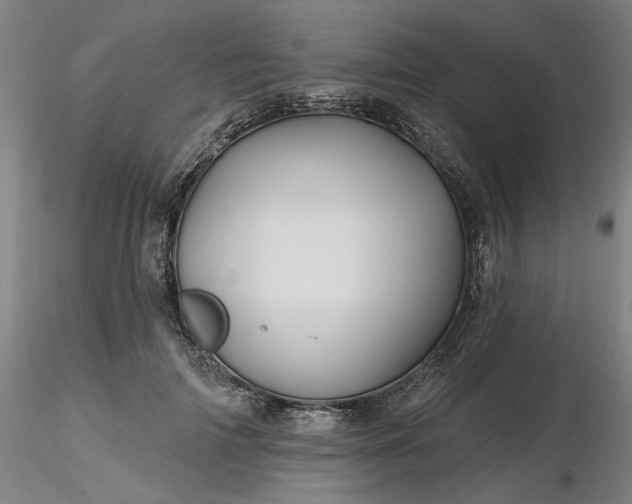 X0000116490698200912231152