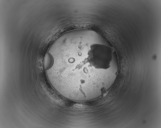 X0000116490699200912231152