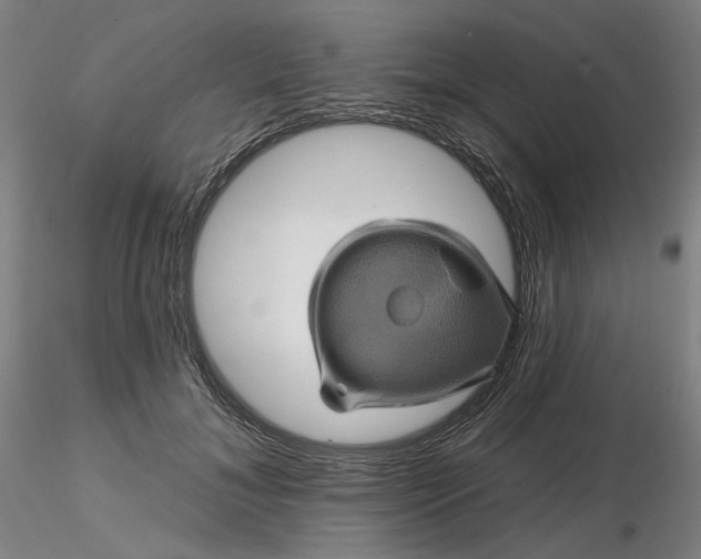 X0000116490700200912231152