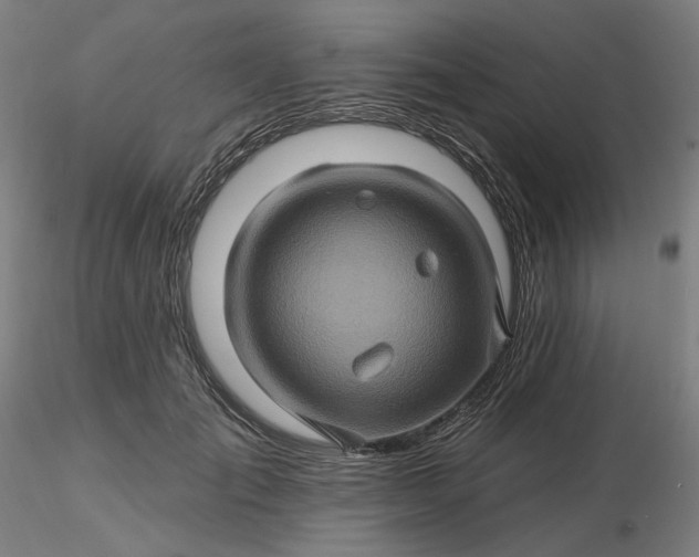 X0000116490701200912231152