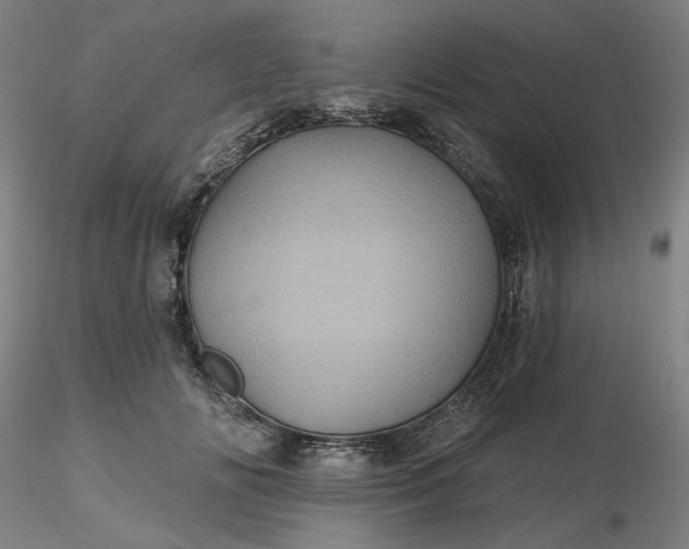 X0000116490702200912231151