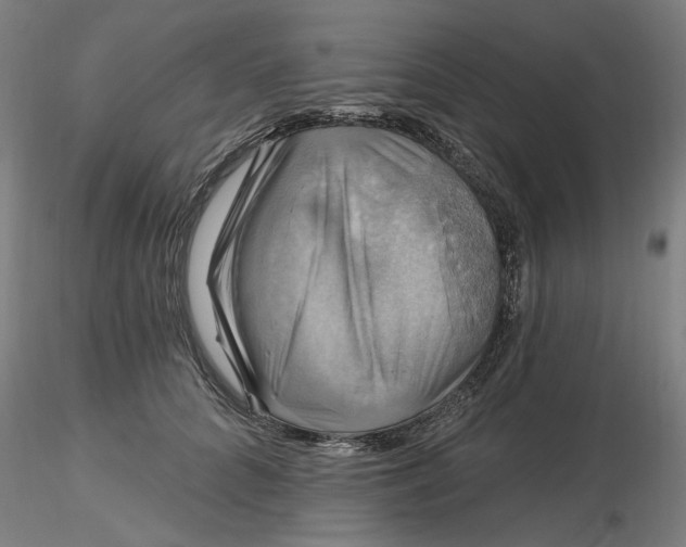 X0000116490704200912231151