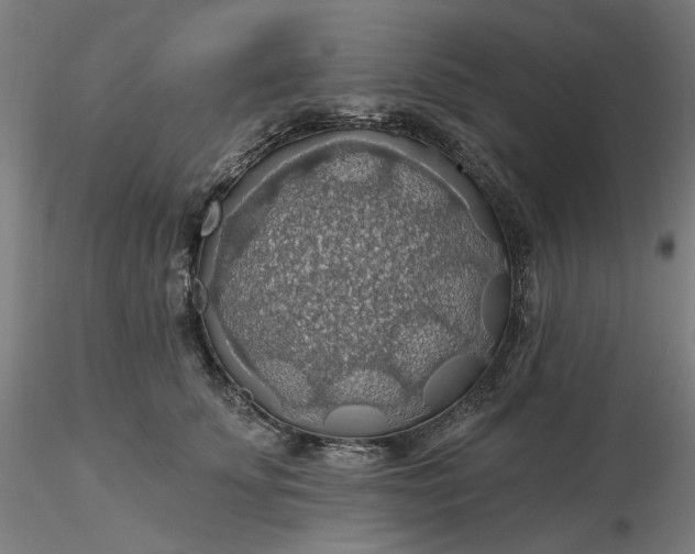 X0000116490707200912231151