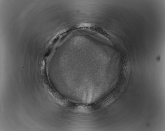 X0000116490708200912231151