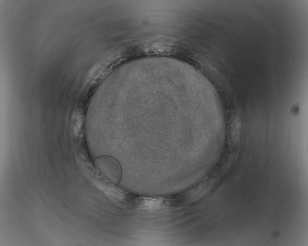 X0000116490709200912231151