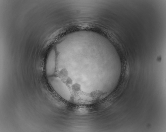 X0000116490710200912231151