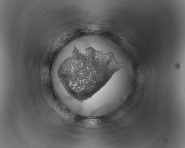 X0000116490711200912231151