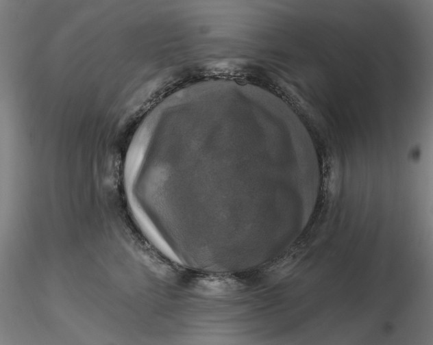 X0000116490712200912231151