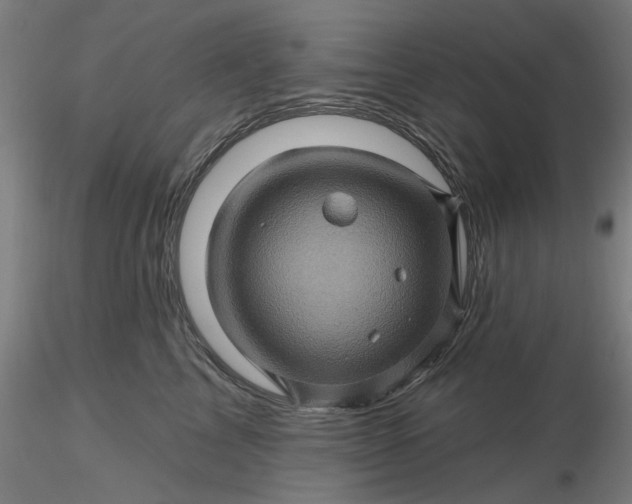 X0000116490713200912231151