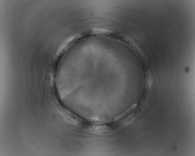 X0000116490716200912231151