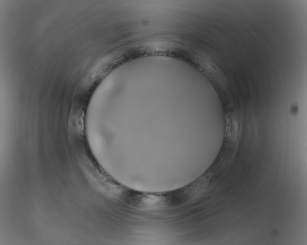 X0000116490718200912231151