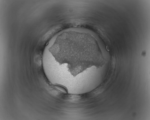 X0000116490719200912231151