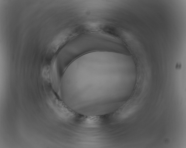 X0000116490720200912231151