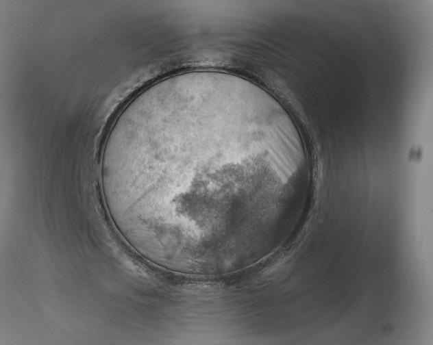 X0000116490721200912231151