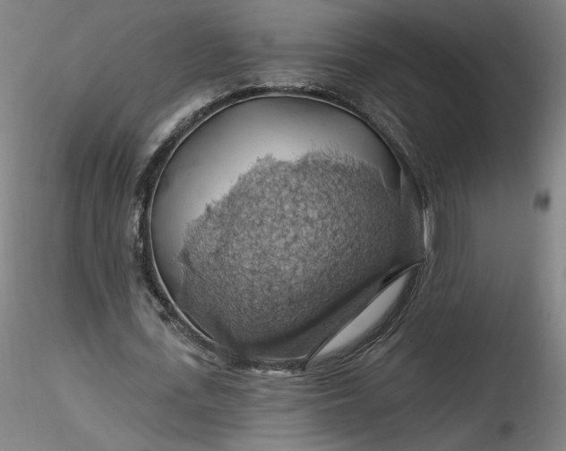 X0000116490723200912231151