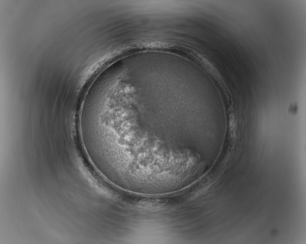 X0000116490725200912231151