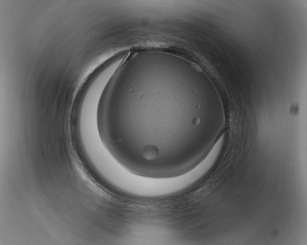 X0000116490726200912231151