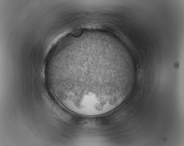 X0000116490727200912231151