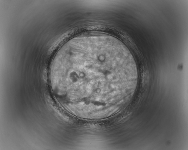 X0000116490729200912231151