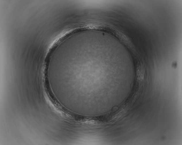 X0000116490730200912231151