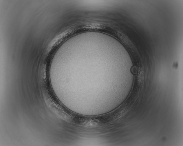 X0000116490731200912231151