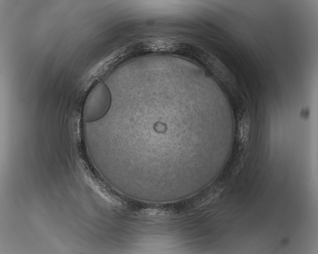 X0000116490733200912231151