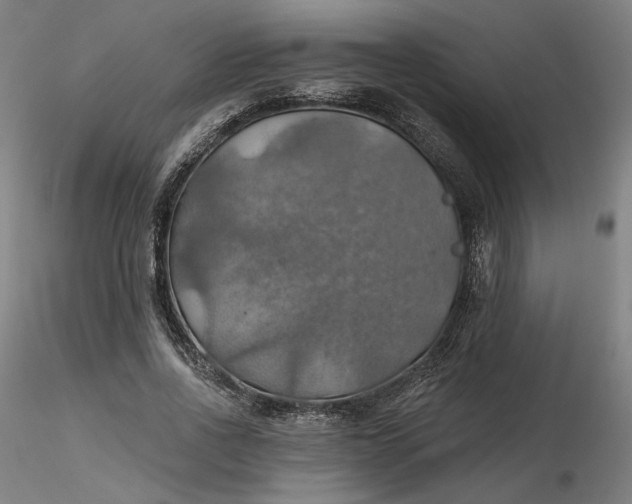 X0000116490734200912231151