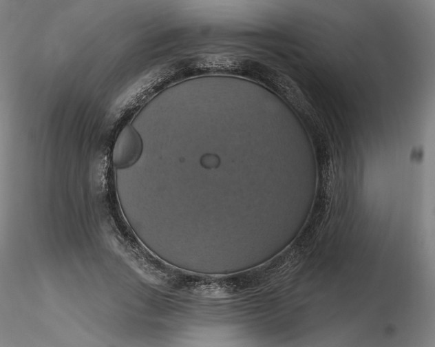 X0000116490735200912231151