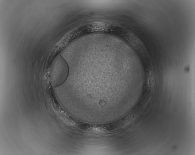 X0000116490737200912231151