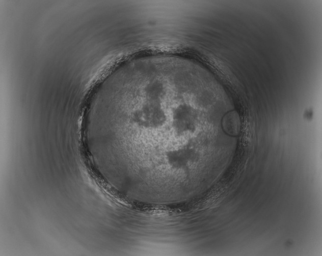 X0000116490738200912231151