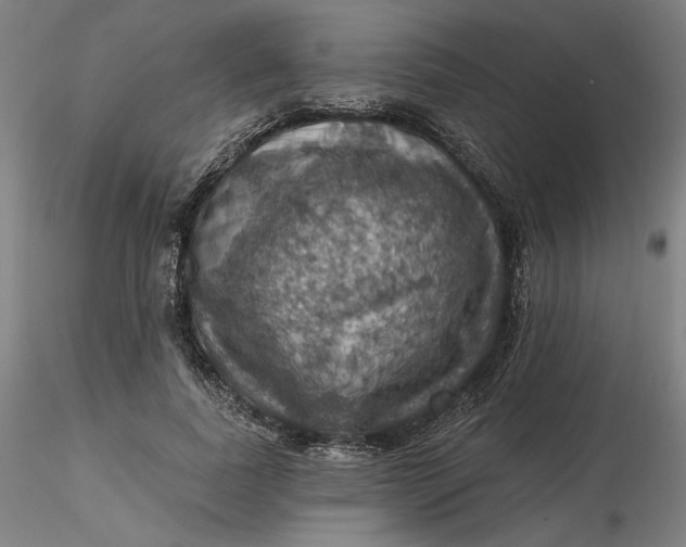 X0000116490739200912231151