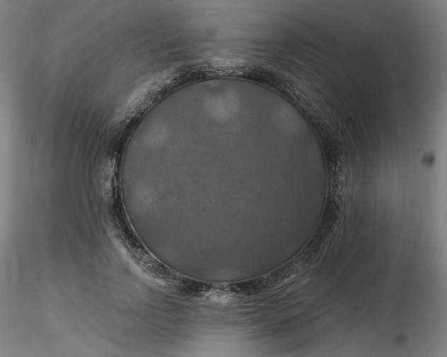 X0000116490742200912231151